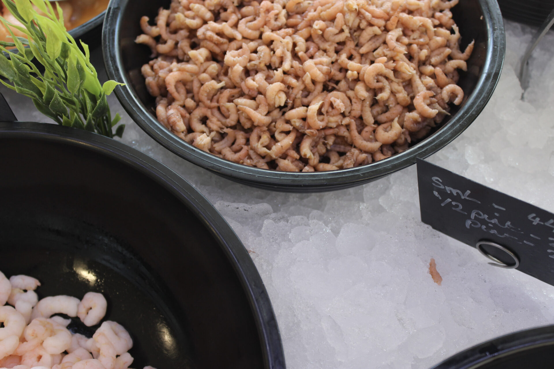 Potted Shrimp - Leigh Seafood